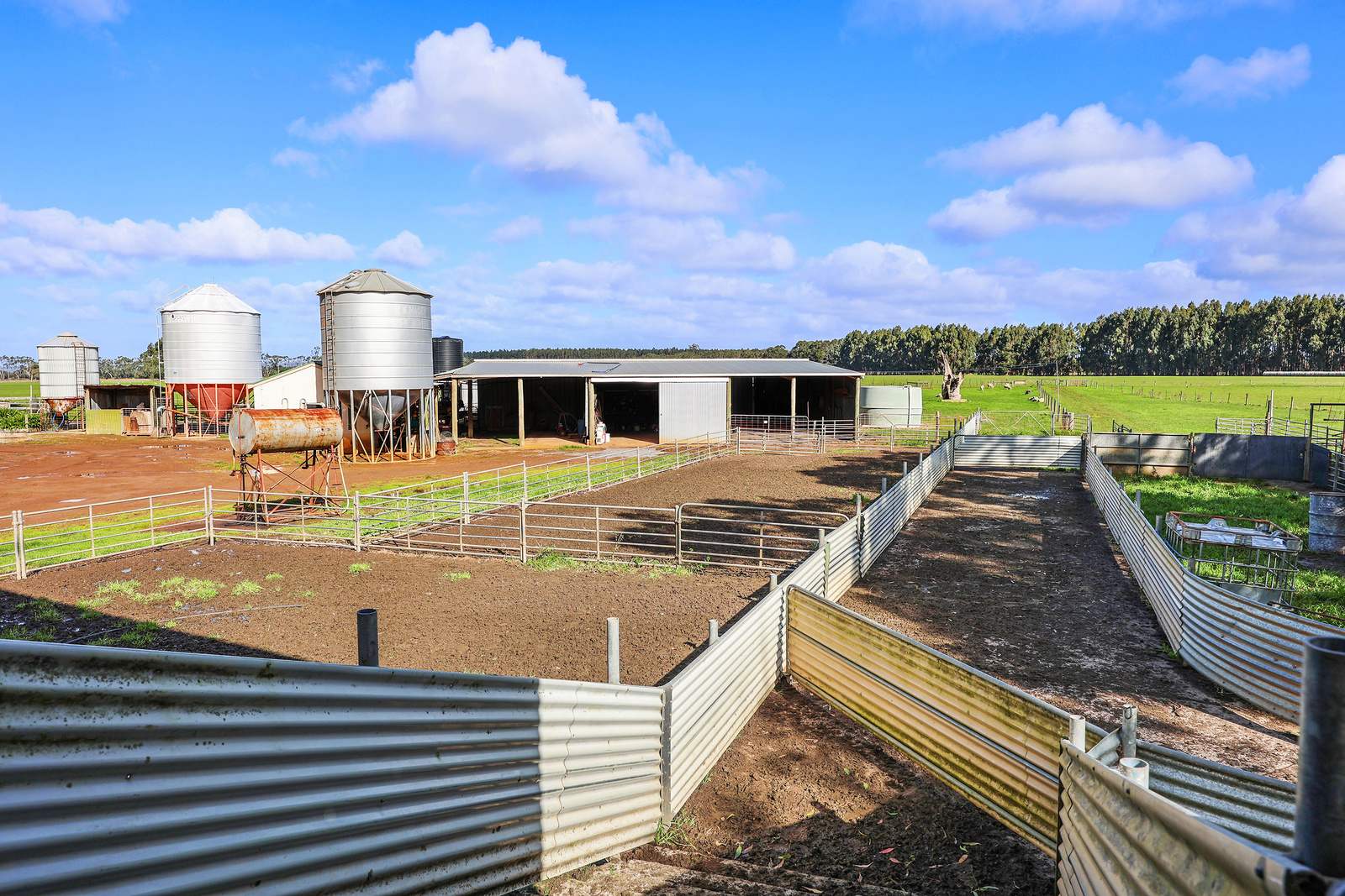 96 Dawsons Lane, Heywood For Sale by Farmbuy.com - image 13