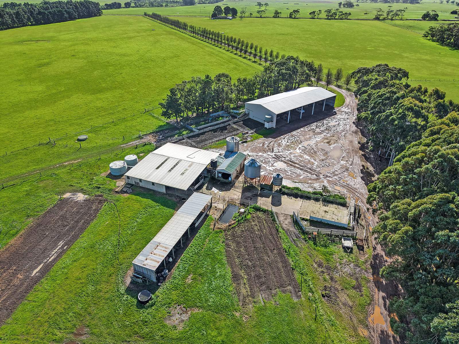96 Dawsons Lane, Heywood For Sale by Farmbuy.com - image 6