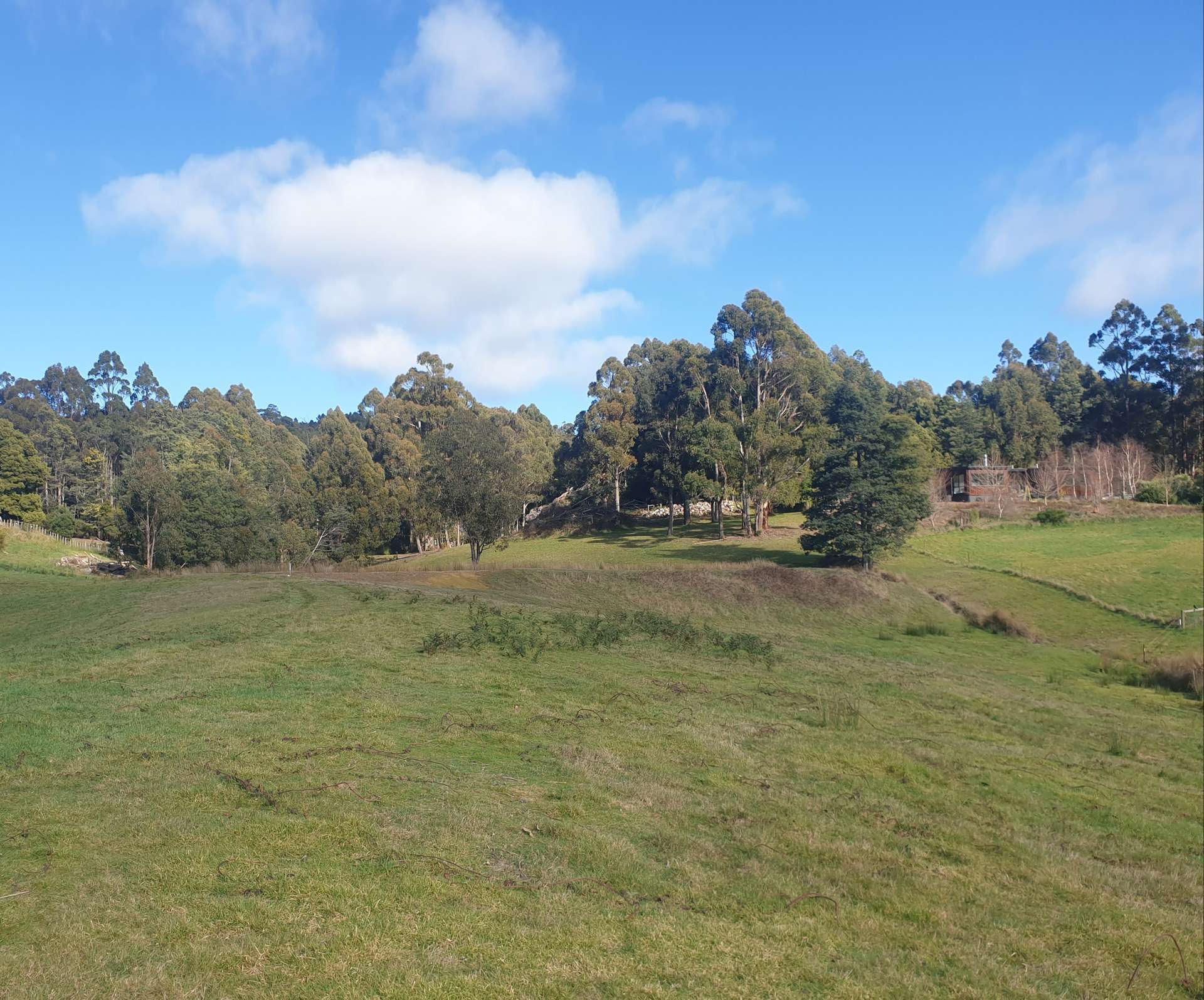 7 Brookland Avenue, Acacia Hills For Sale by Farmbuy.com - image 2