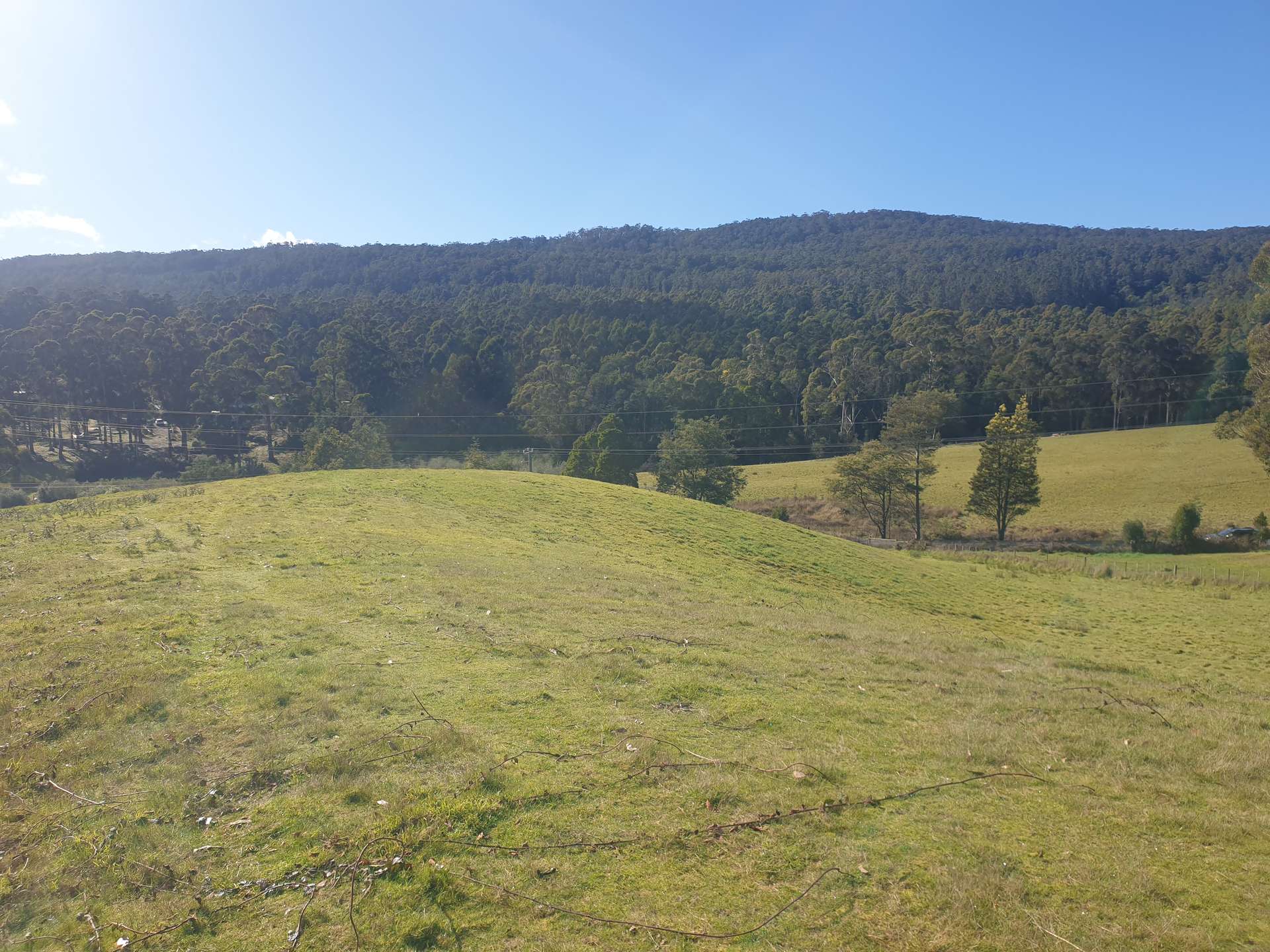 7 Brookland Avenue, Acacia Hills For Sale by Farmbuy.com - image 4