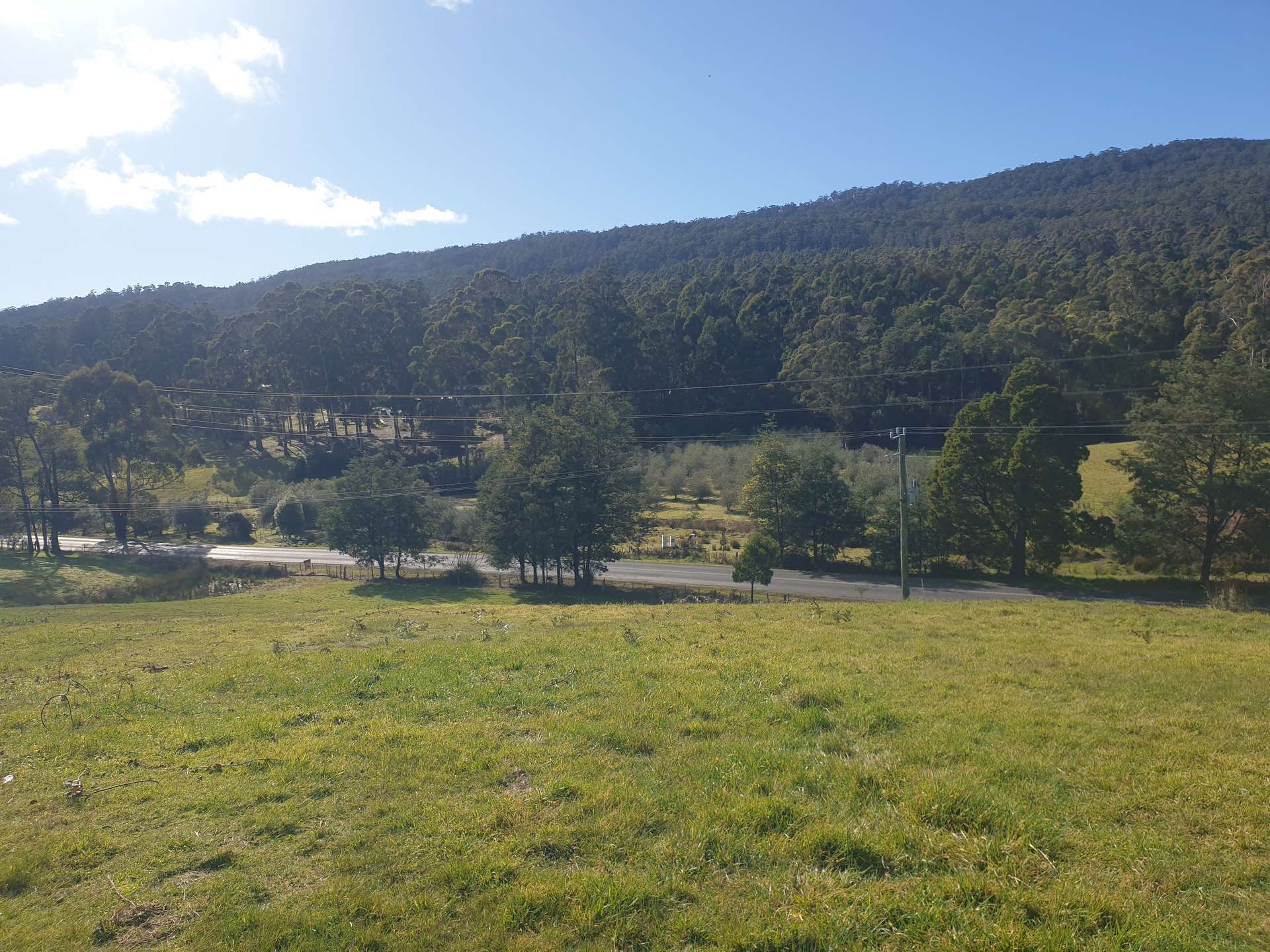 7 Brookland Avenue, Acacia Hills For Sale by Farmbuy.com - image 5