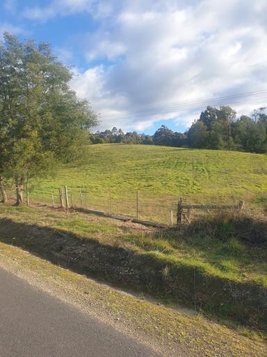 Farm For Sale - TAS - Acacia Hills - 7306 - Space, Views and a Premium House Site 