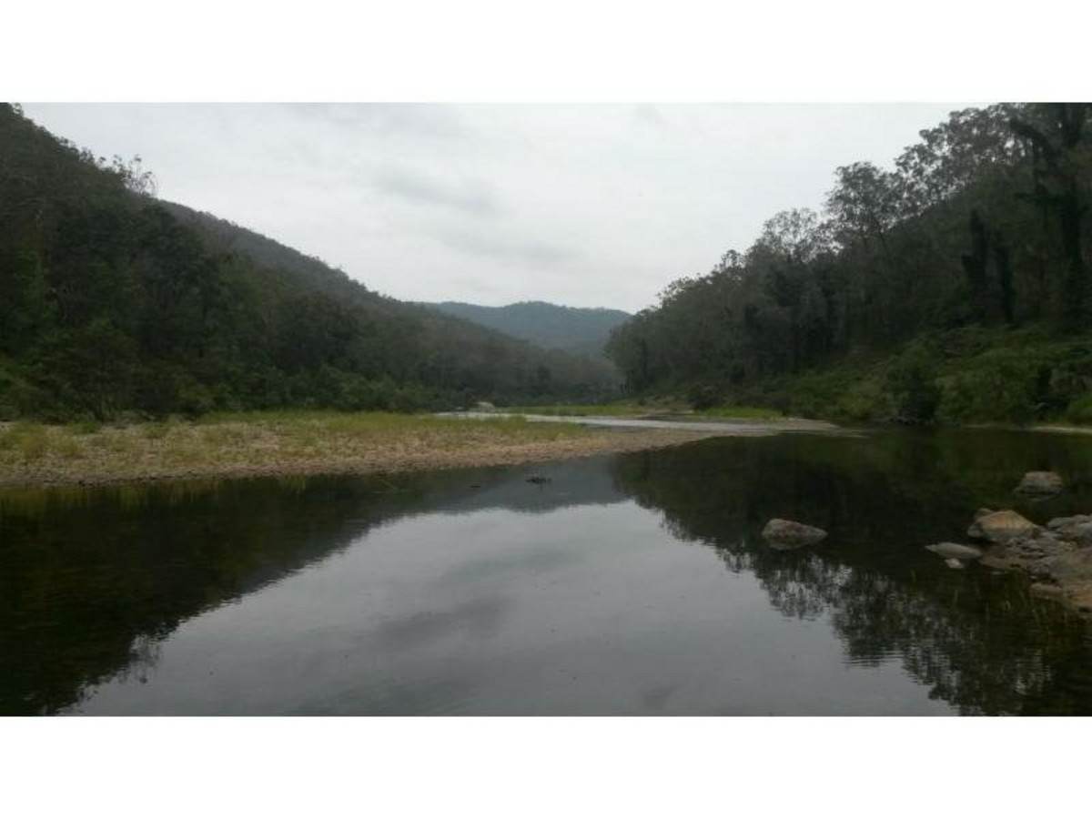 908 Bulldog Road, Bulldog For Sale by Farmbuy.com - image 31