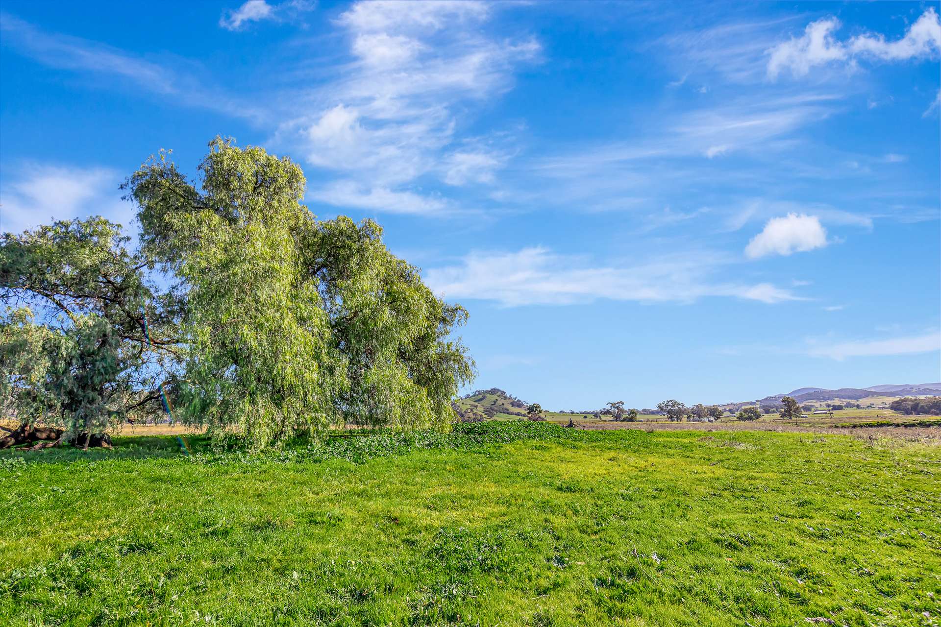 690 Queens Pinch Road, Mudgee For Sale by Farmbuy.com - image 15