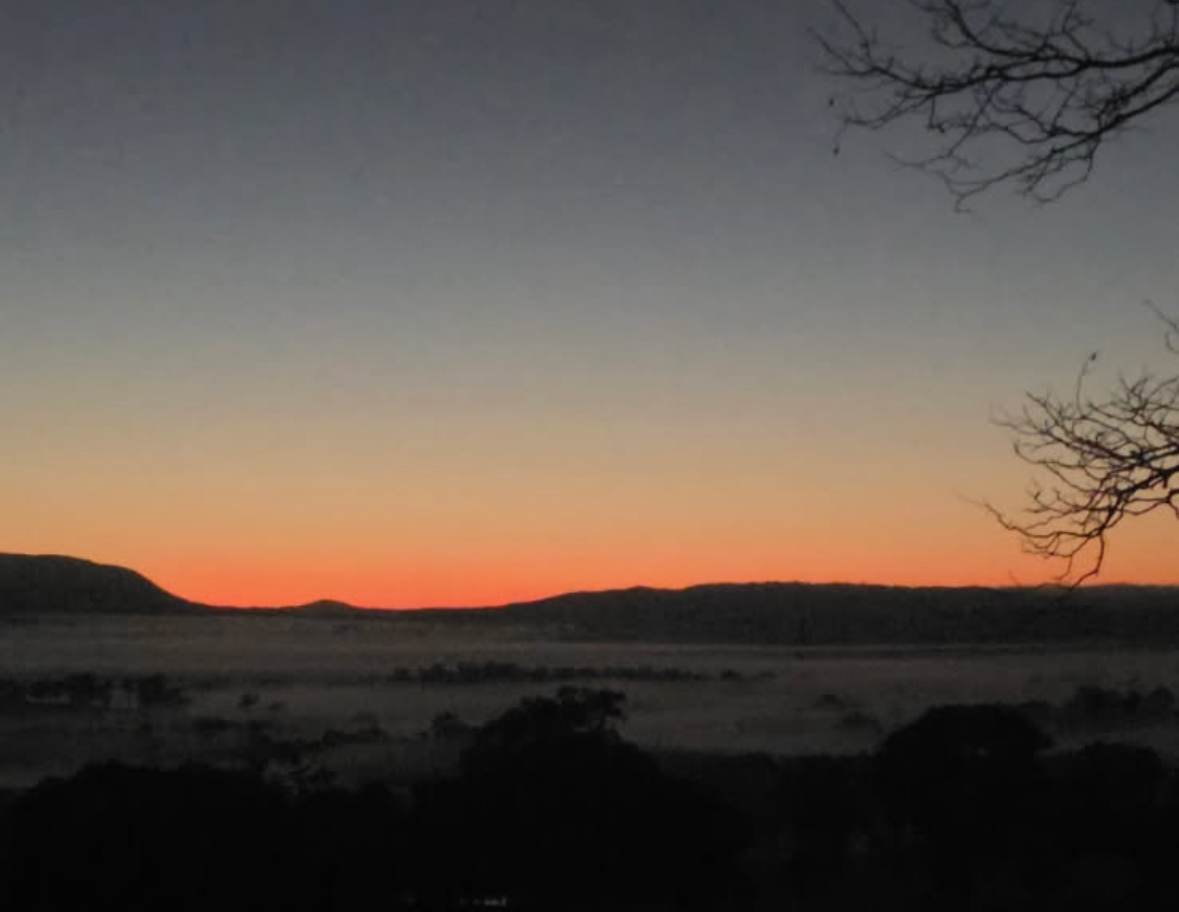 390 Bloom Hill Road, O'Connell Auction by Farmbuy.com - image 17