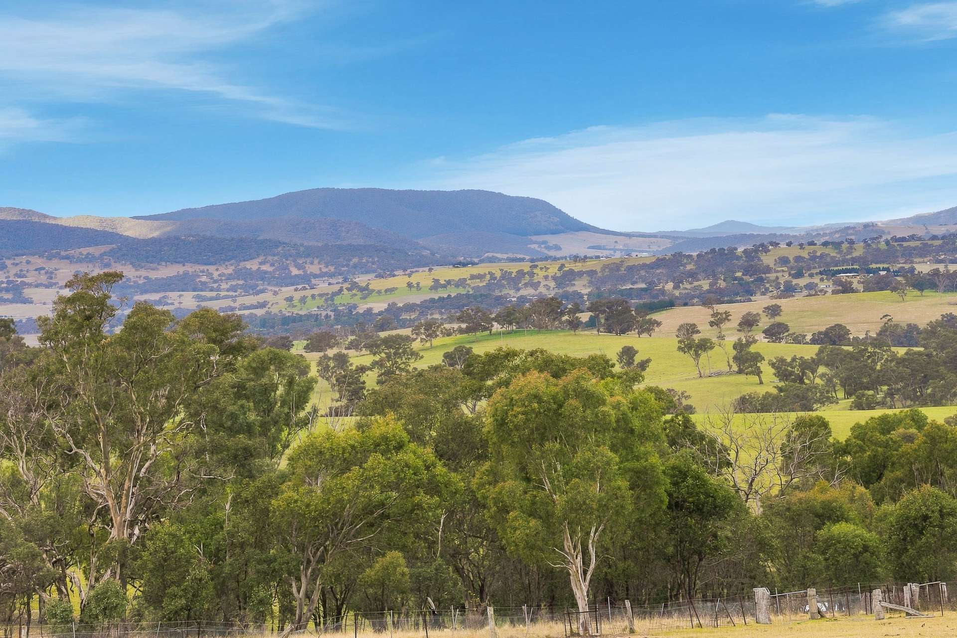 390 Bloom Hill Road, O'Connell Auction by Farmbuy.com - image 25