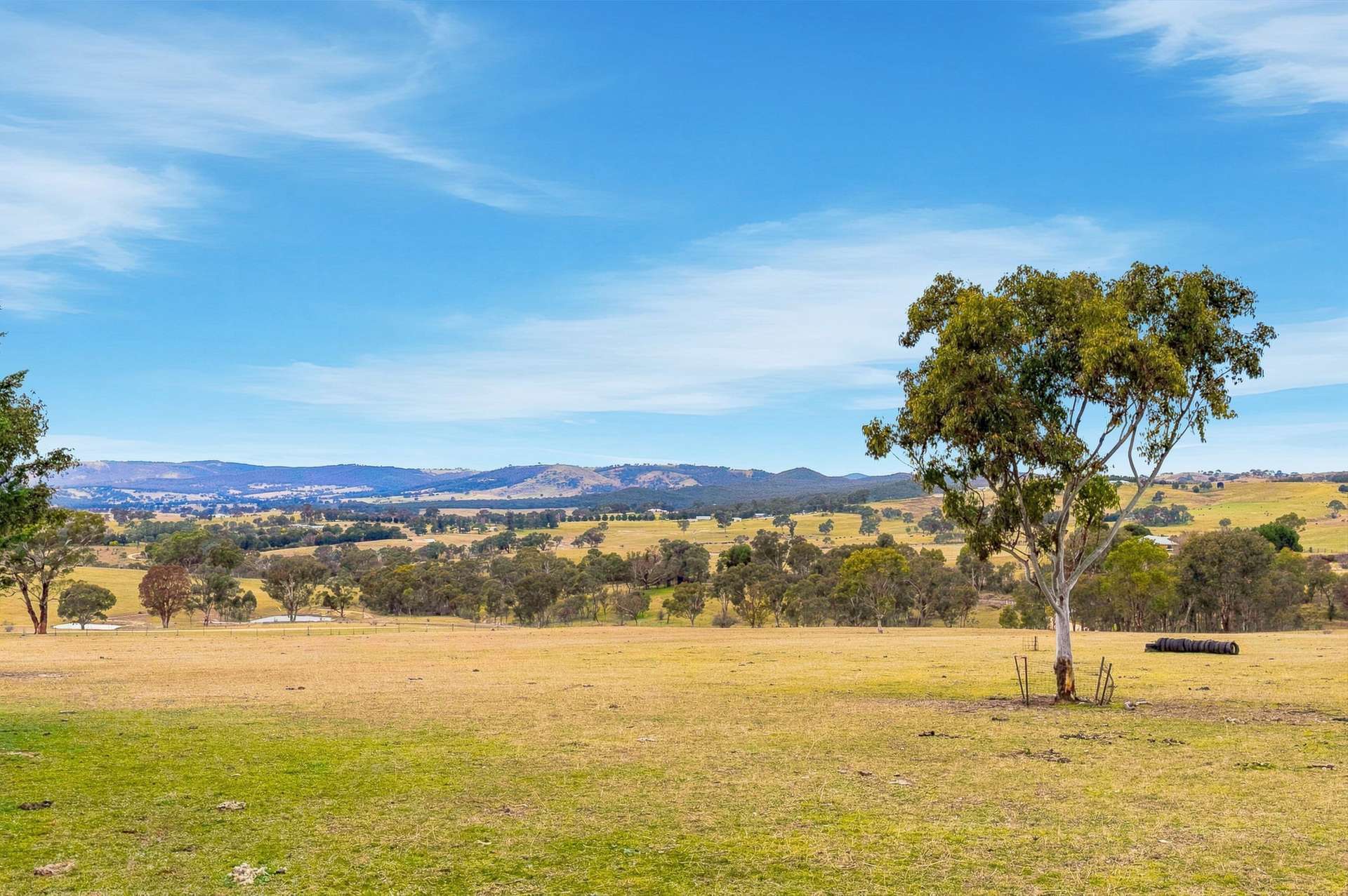 390 Bloom Hill Road, O'Connell Auction by Farmbuy.com - image 23