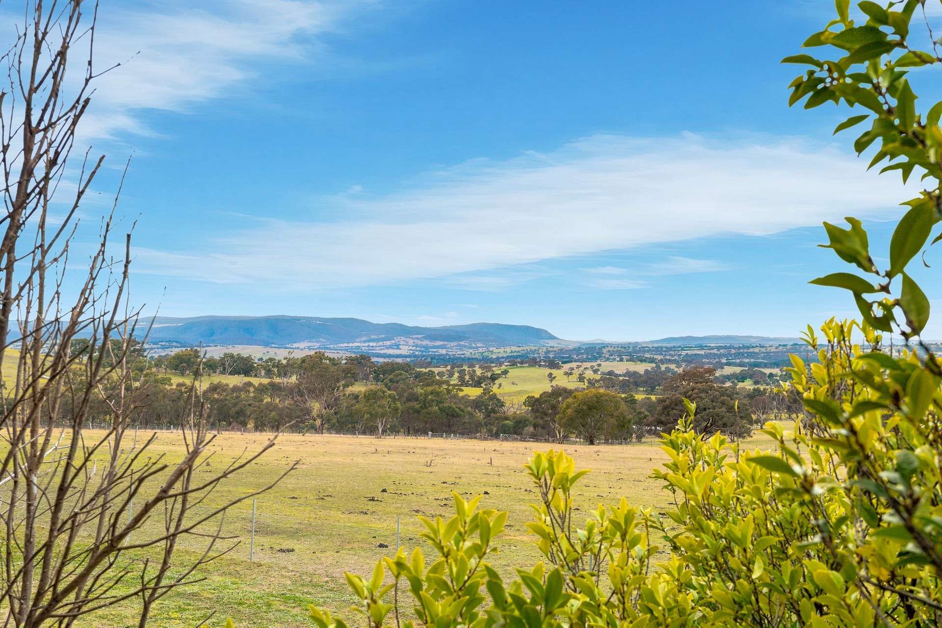 390 Bloom Hill Road, O'Connell Auction by Farmbuy.com - image 15