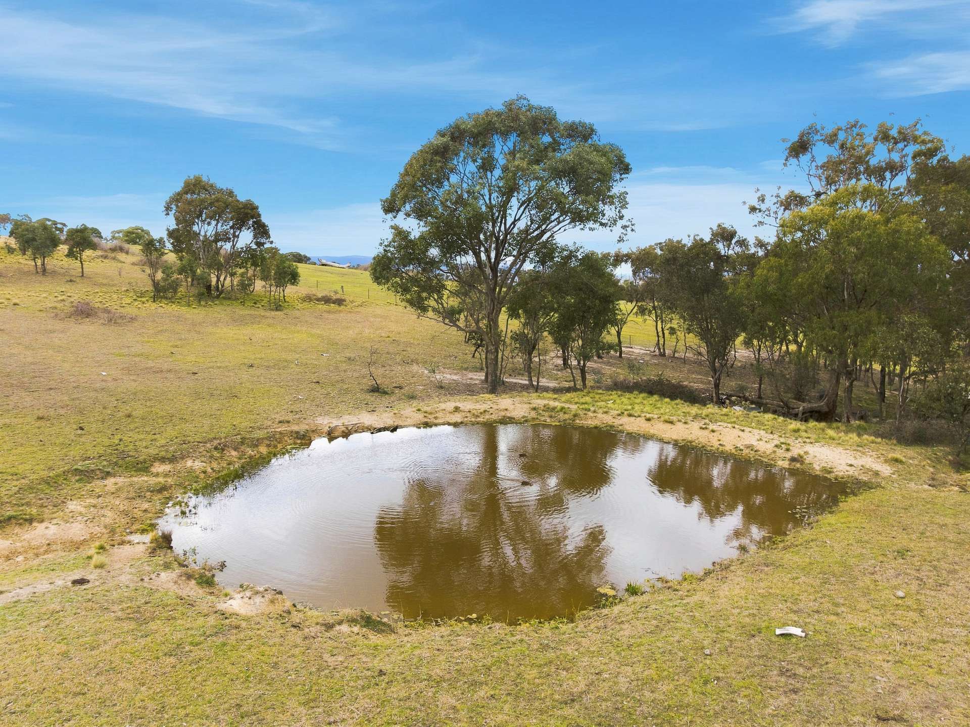 390 Bloom Hill Road, O'Connell Auction by Farmbuy.com - image 21