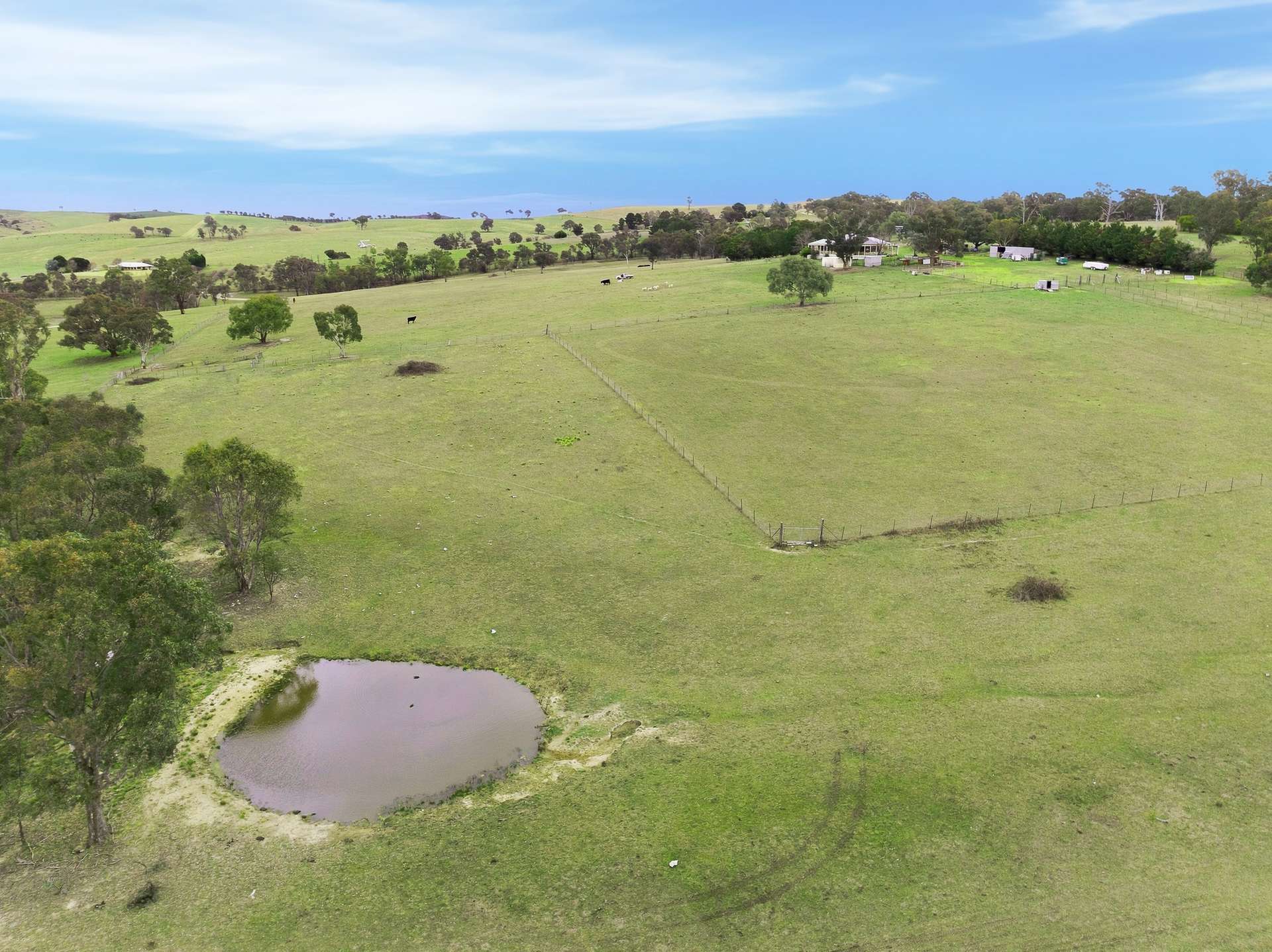 390 Bloom Hill Road, O'Connell Auction by Farmbuy.com - image 22