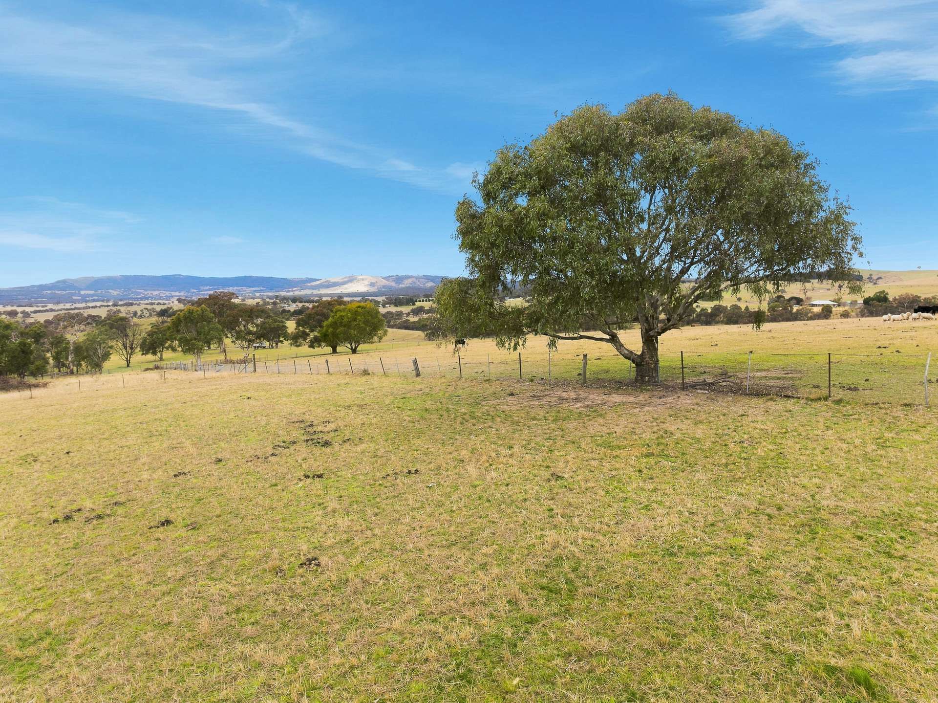 390 Bloom Hill Road, O'Connell Auction by Farmbuy.com - image 24