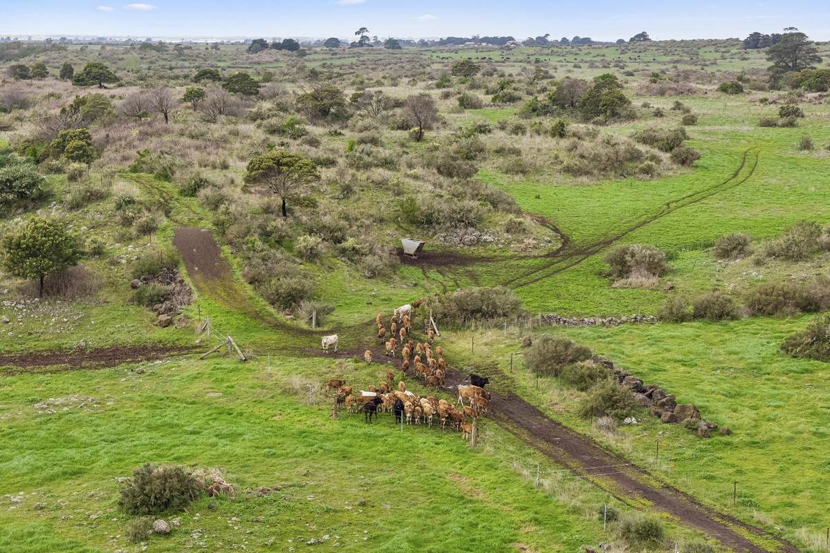 1780 Corangamite Lake Road, Dreeite For Sale by Farmbuy.com - image 20
