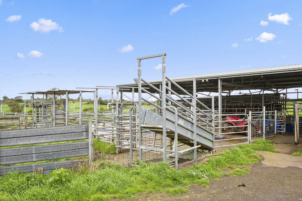 1780 Corangamite Lake Road, Dreeite For Sale by Farmbuy.com - image 15