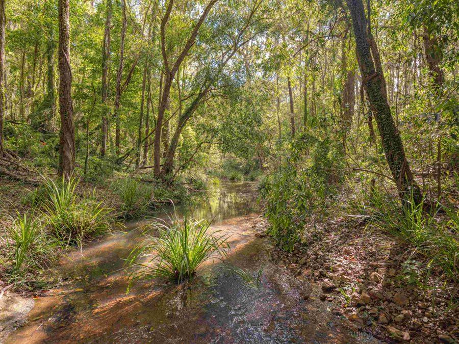 690 Fishermans Pocket Rd, Fishermans Pocket For Sale by Farmbuy.com - image 10