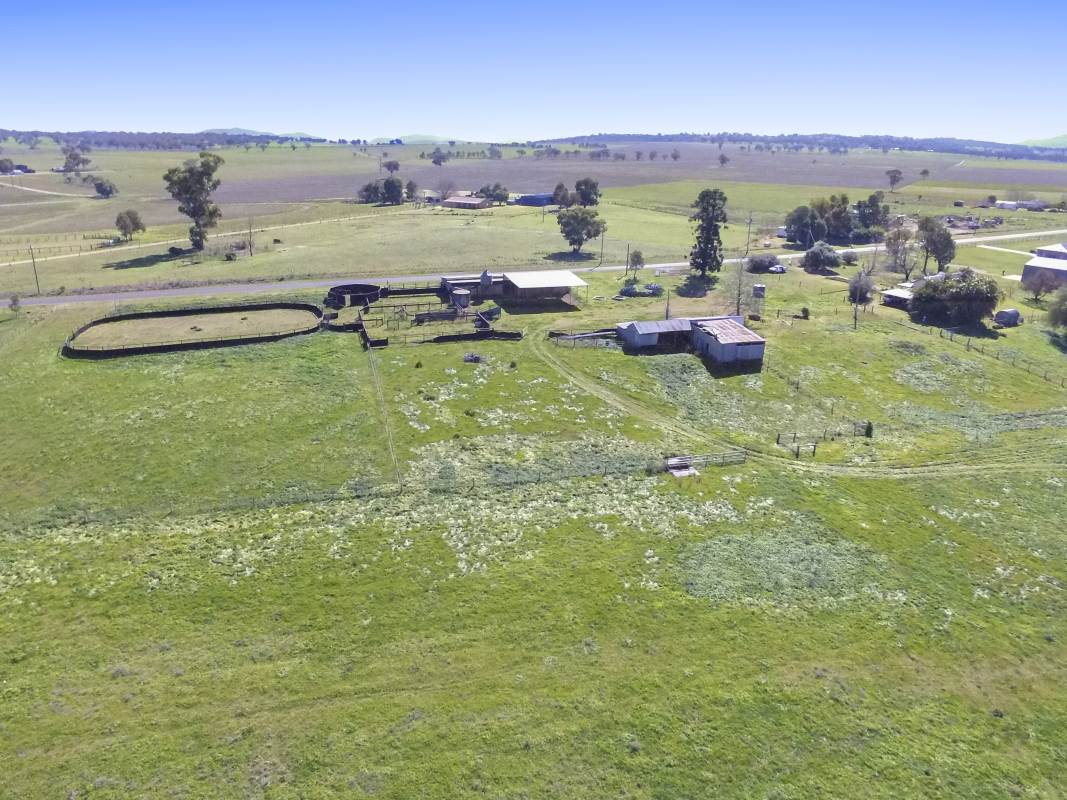 150 Borah Creek Road, Quirindi For Sale by Farmbuy.com - image 19