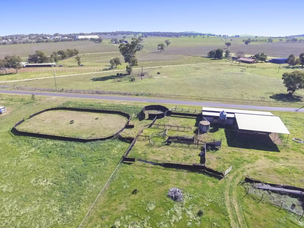 150 Borah Creek Road, Quirindi For Sale by Farmbuy.com - image 20