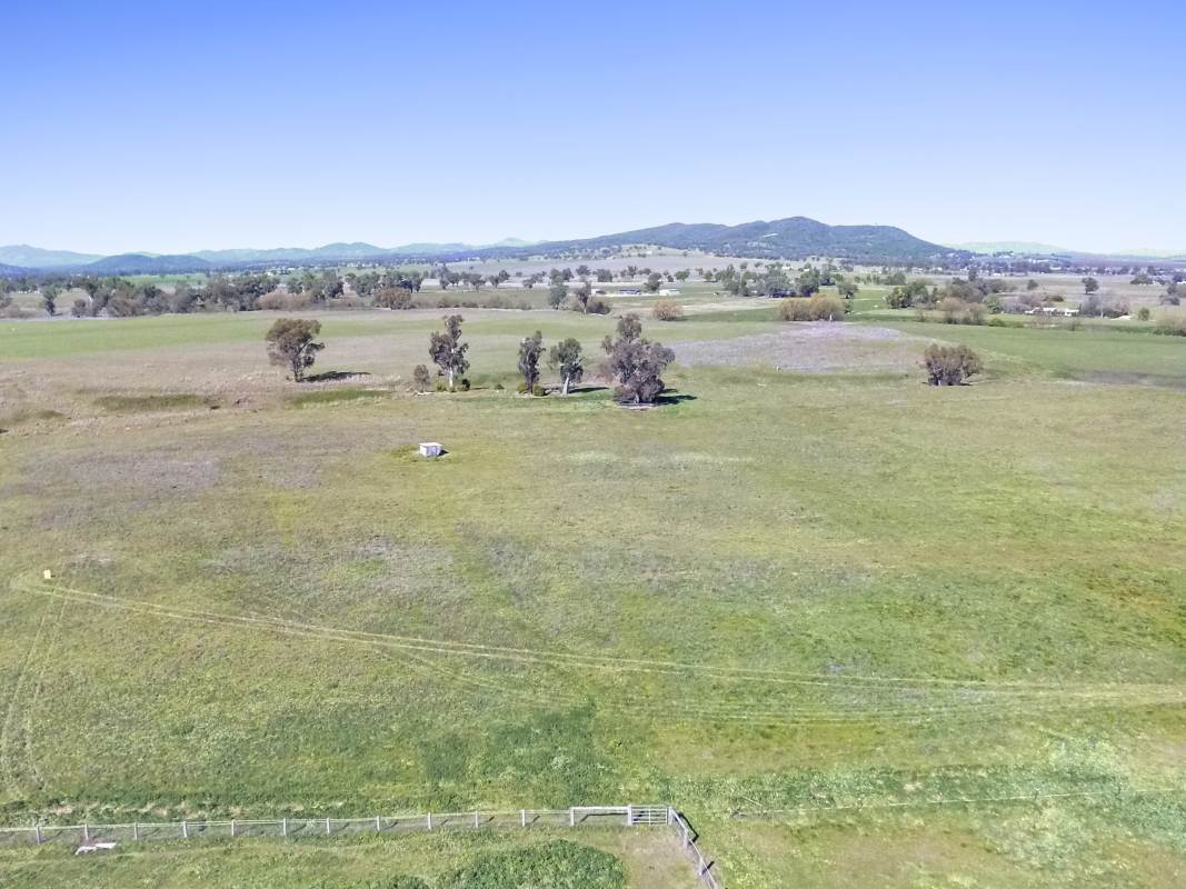 150 Borah Creek Road, Quirindi For Sale by Farmbuy.com - image 15