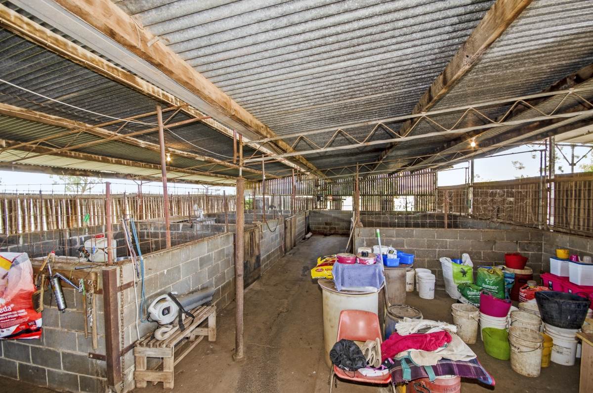 150 Borah Creek Road, Quirindi For Sale by Farmbuy.com - image 5