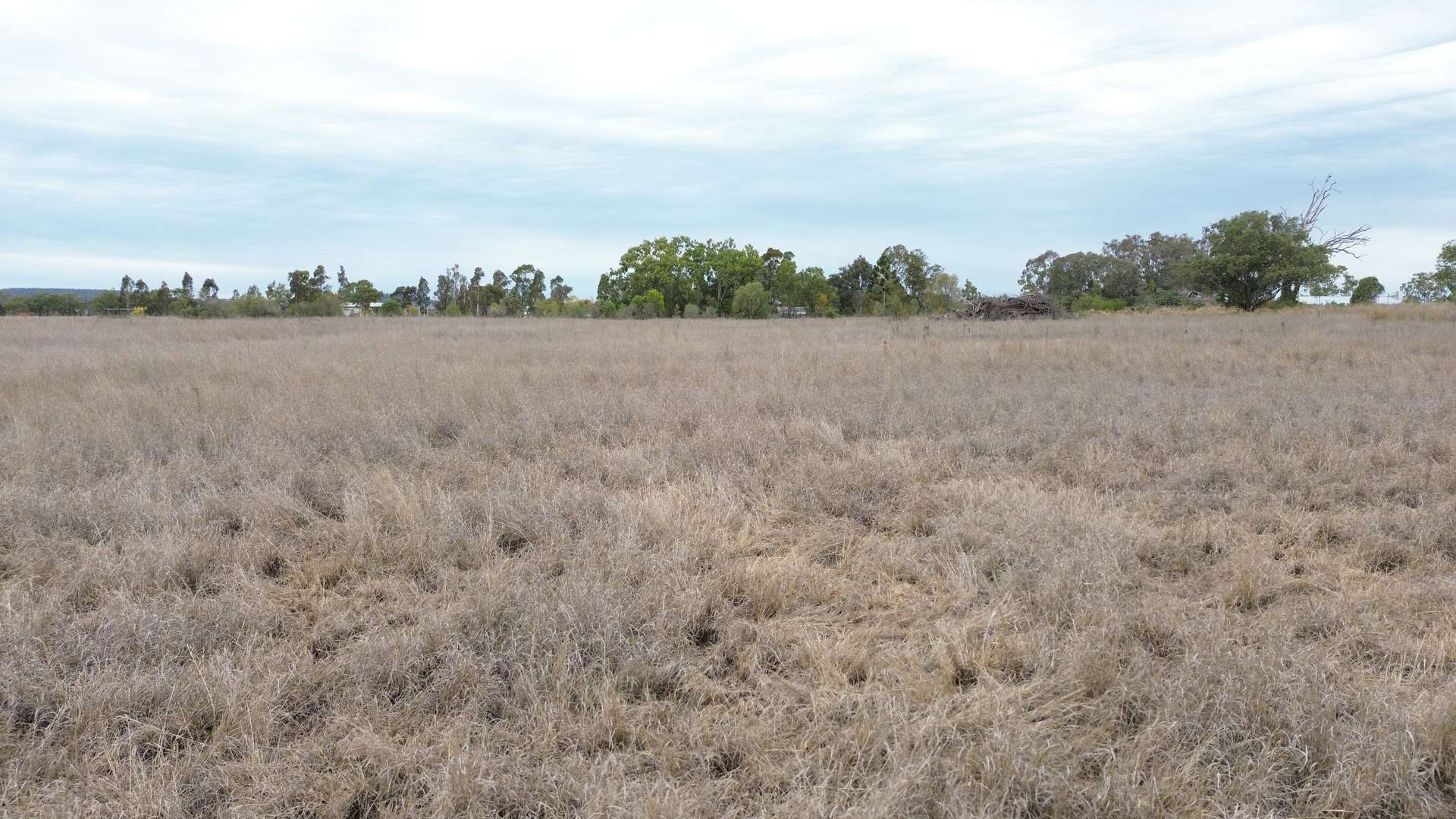 Lot 503 William Street, Aubigny For Sale by Farmbuy.com - image 7