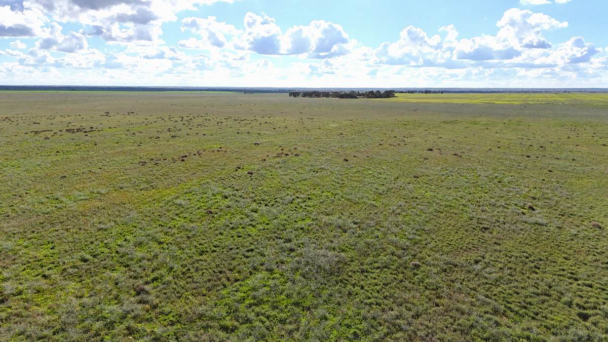 'Mount Hope' Curtis Road, Wargan For Sale by Farmbuy.com - image 2
