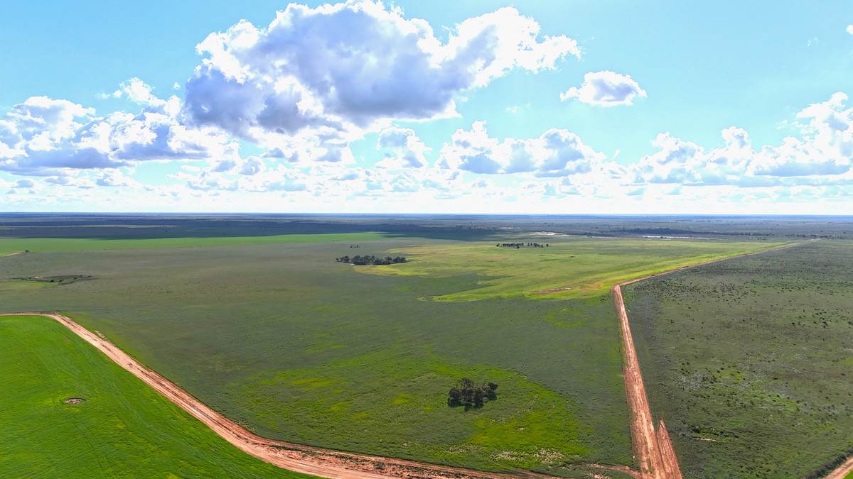 'Mount Hope' Curtis Road, Wargan For Sale by Farmbuy.com - image 3