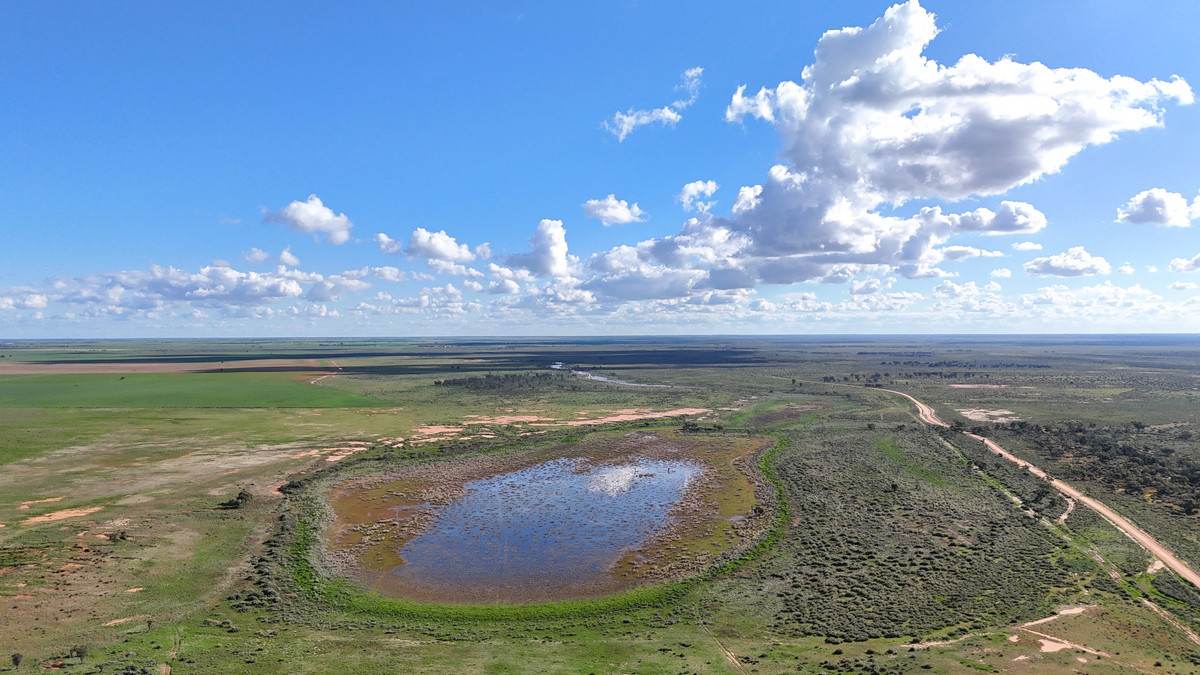 'Mount Hope' Curtis Road, Wargan For Sale by Farmbuy.com - image 15