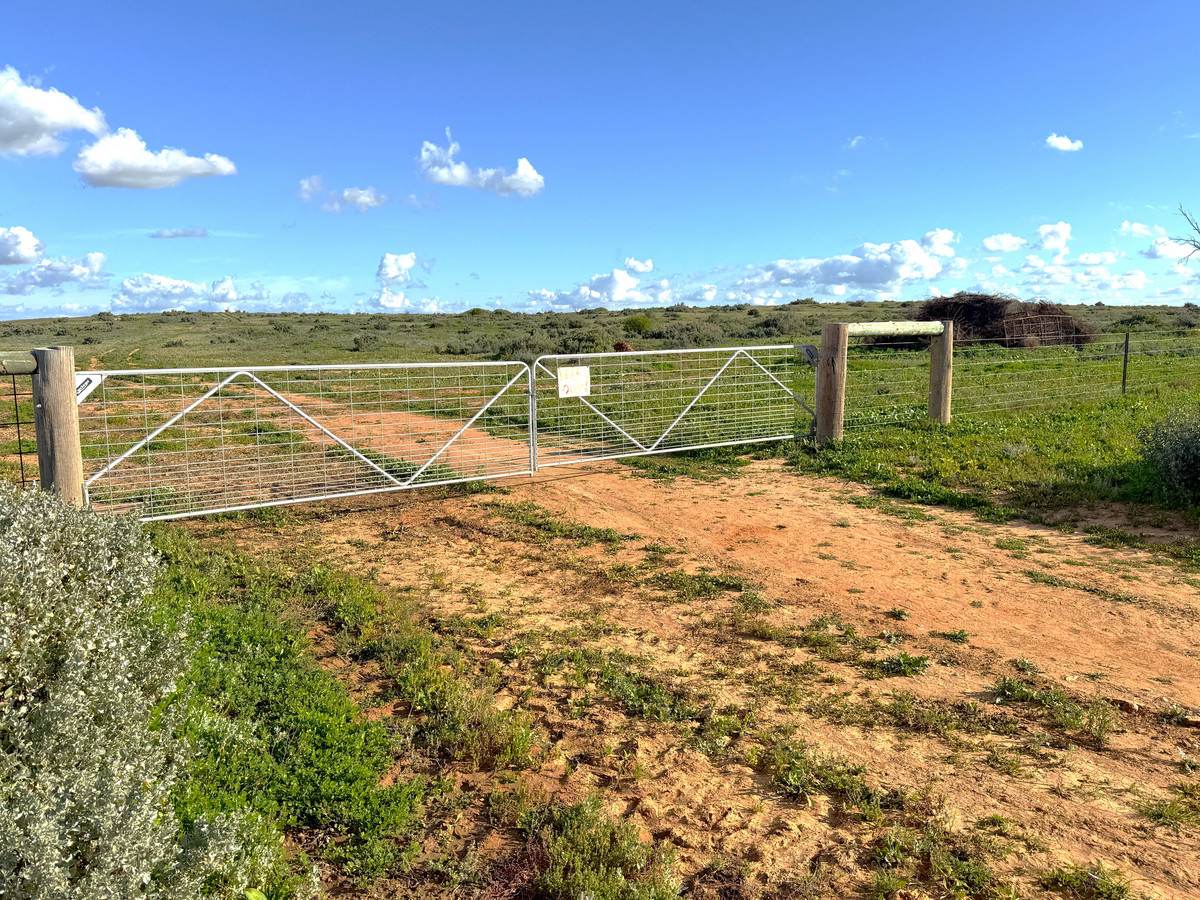 'Mount Hope' Curtis Road, Wargan For Sale by Farmbuy.com - image 17