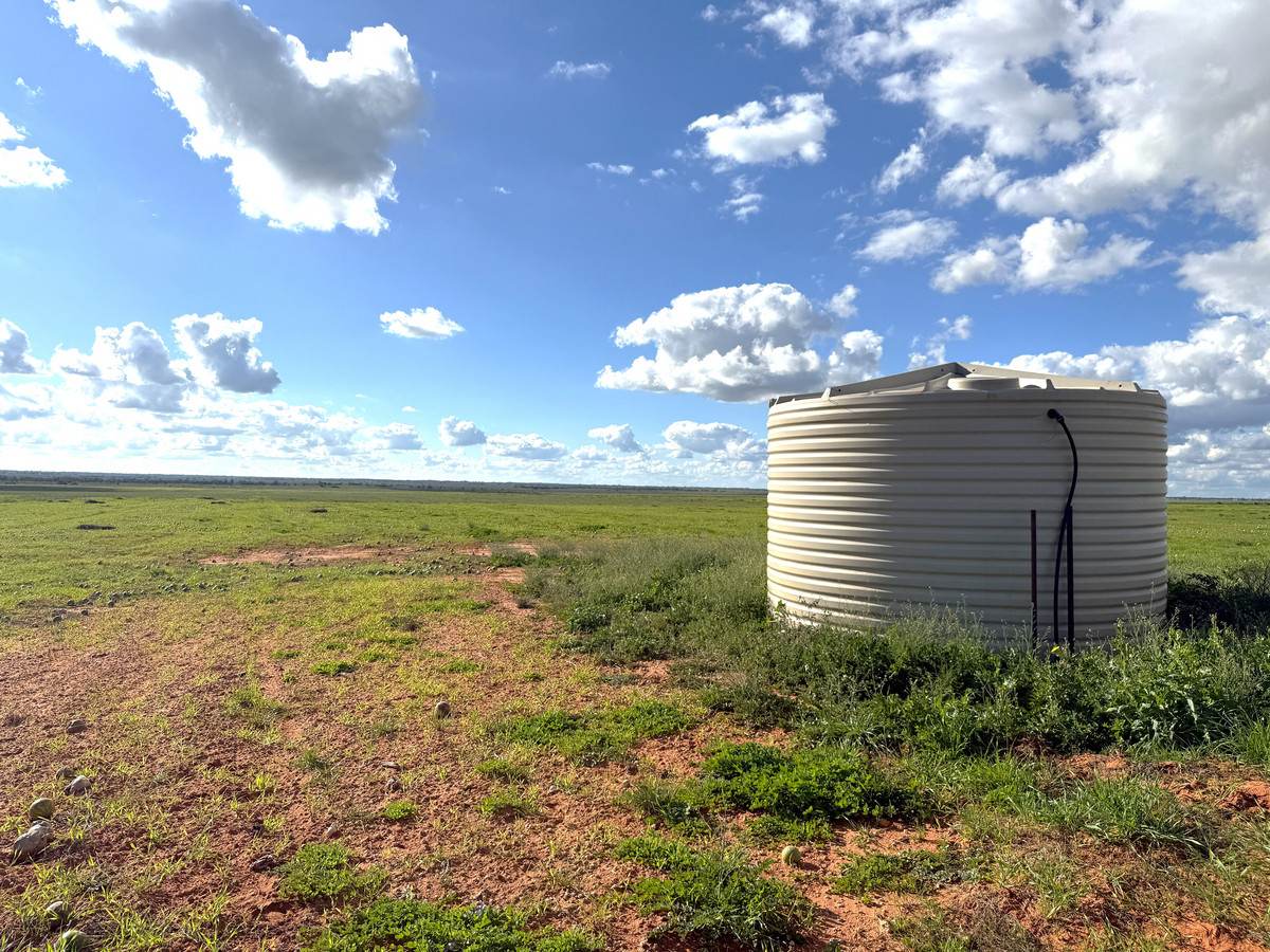 'Mount Hope' Curtis Road, Wargan For Sale by Farmbuy.com - image 9