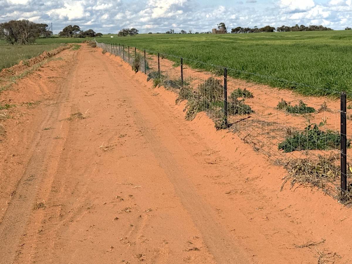 'Mount Hope' Curtis Road, Wargan For Sale by Farmbuy.com - image 7