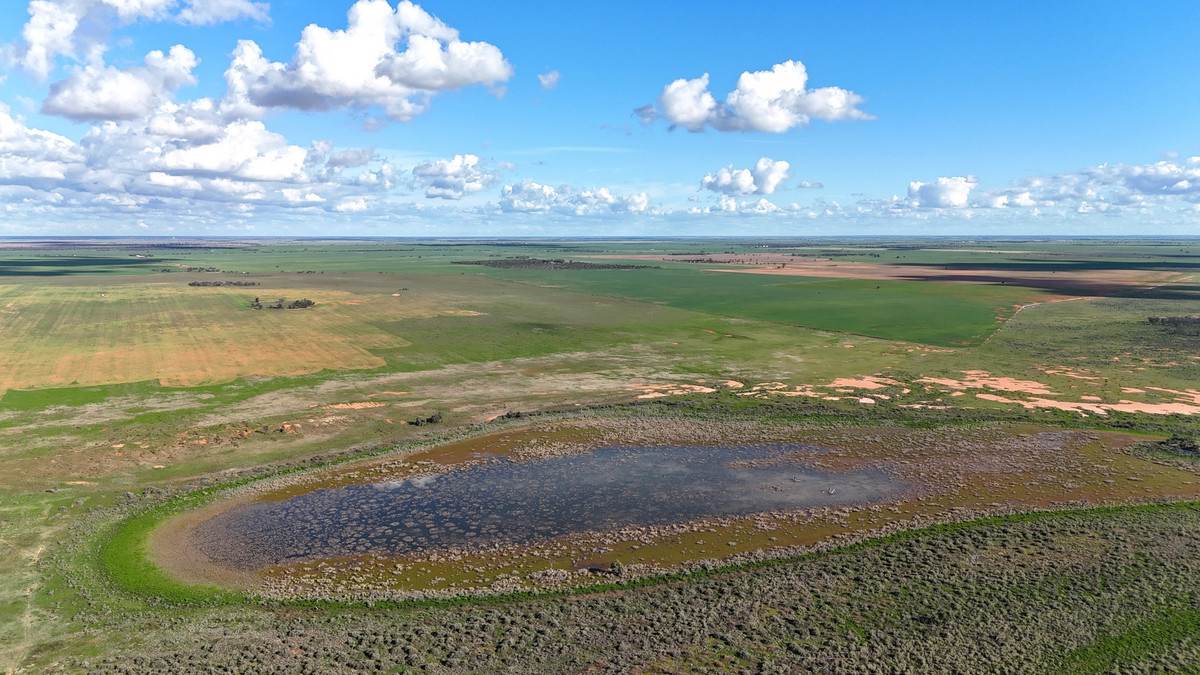 'Mount Hope' Curtis Road, Wargan For Sale by Farmbuy.com - image 14