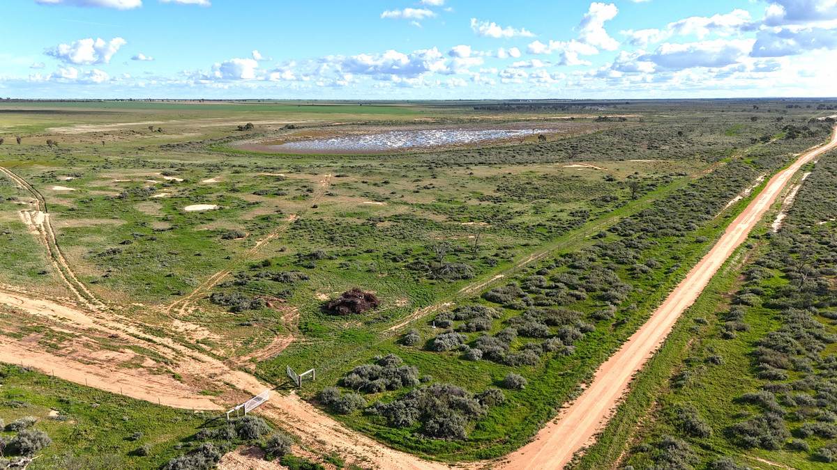 'Mount Hope' Curtis Road, Wargan For Sale by Farmbuy.com - image 6
