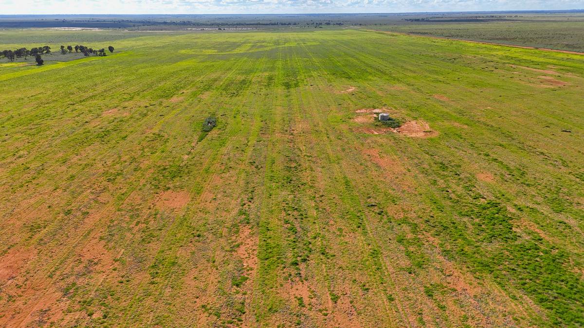 'Mount Hope' Curtis Road, Wargan For Sale by Farmbuy.com - image 16