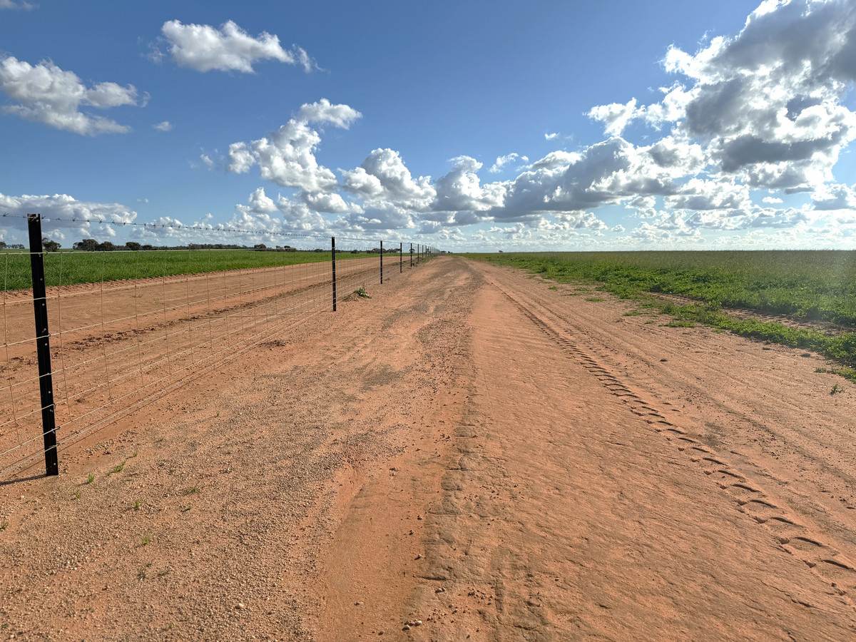 'Mount Hope' Curtis Road, Wargan For Sale by Farmbuy.com - image 8
