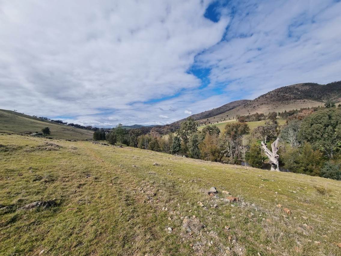 364 Kangaroo Mount Road, Gundagai For Sale by Farmbuy.com - image 11