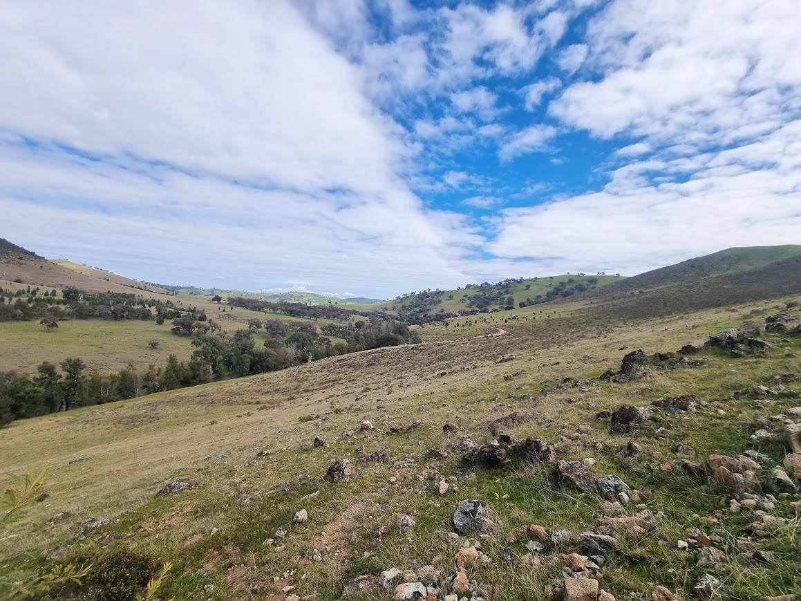 364 Kangaroo Mount Road, Gundagai For Sale by Farmbuy.com - image 16
