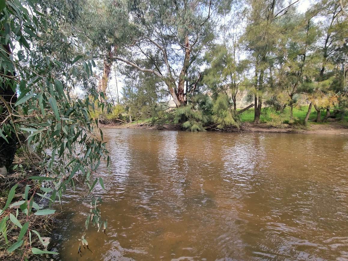364 Kangaroo Mount Road, Gundagai For Sale by Farmbuy.com - image 7