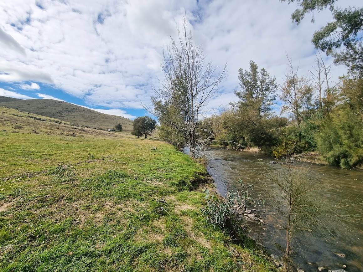 364 Kangaroo Mount Road, Gundagai For Sale by Farmbuy.com - image 6