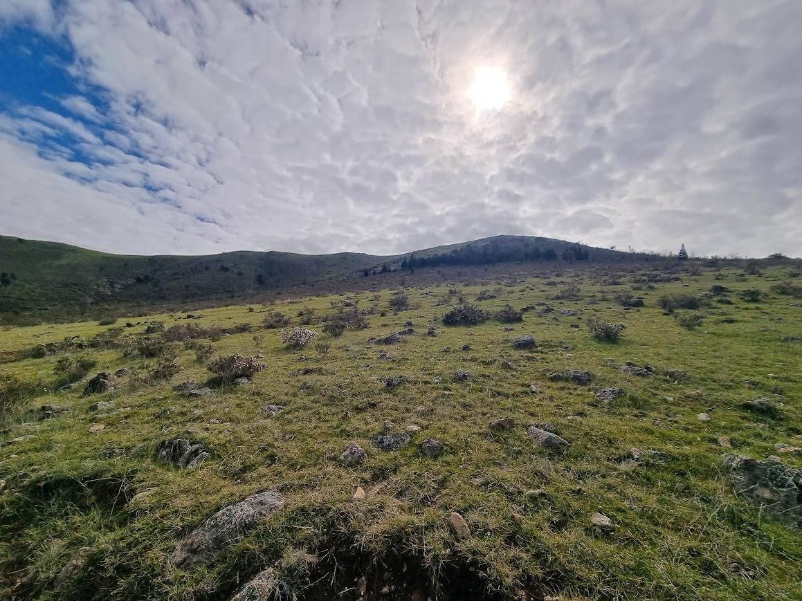 364 Kangaroo Mount Road, Gundagai For Sale by Farmbuy.com - image 14