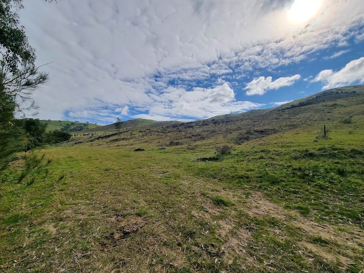 364 Kangaroo Mount Road, Gundagai For Sale by Farmbuy.com - image 9