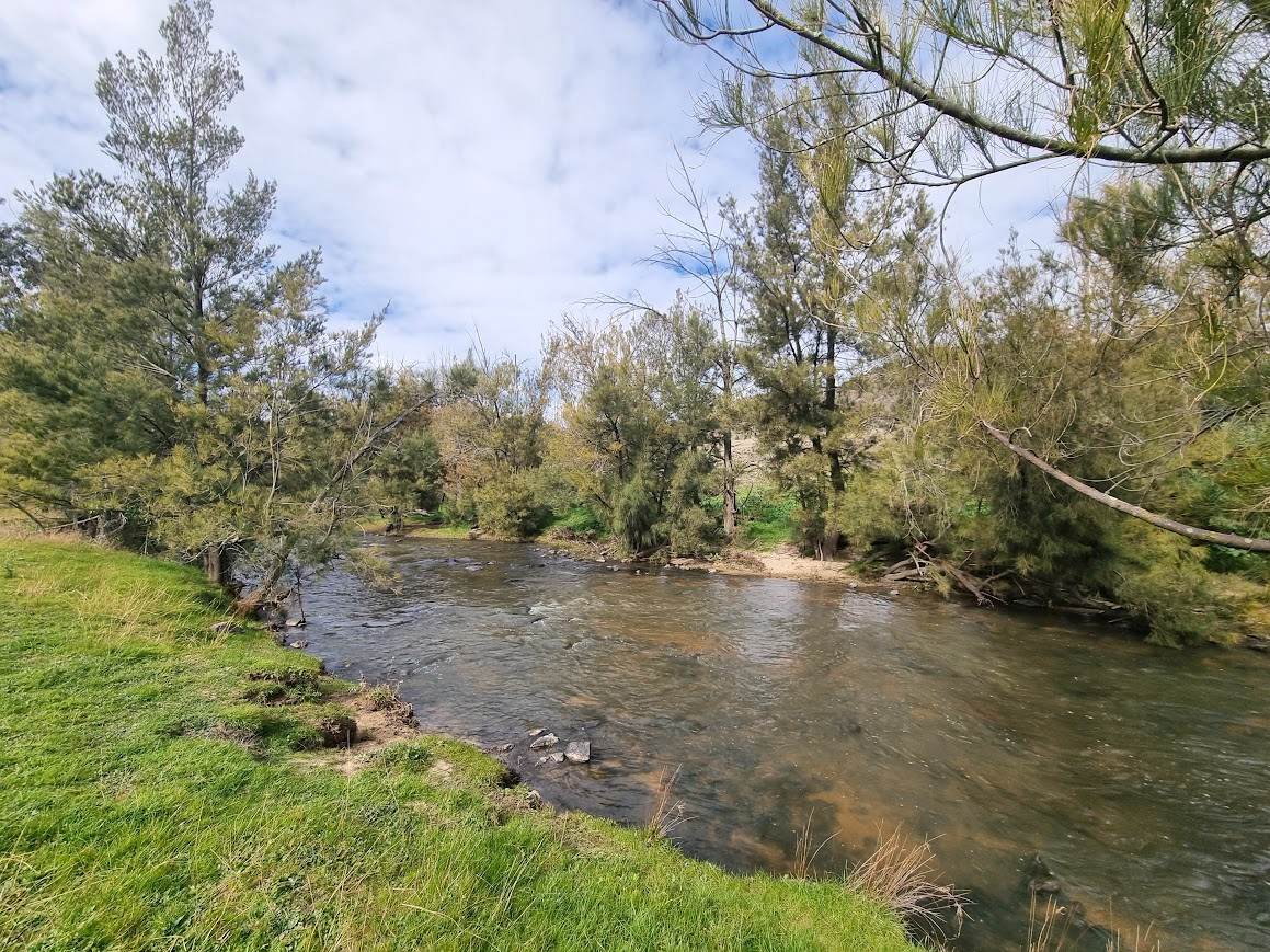 364 Kangaroo Mount Road, Gundagai For Sale by Farmbuy.com - image 5