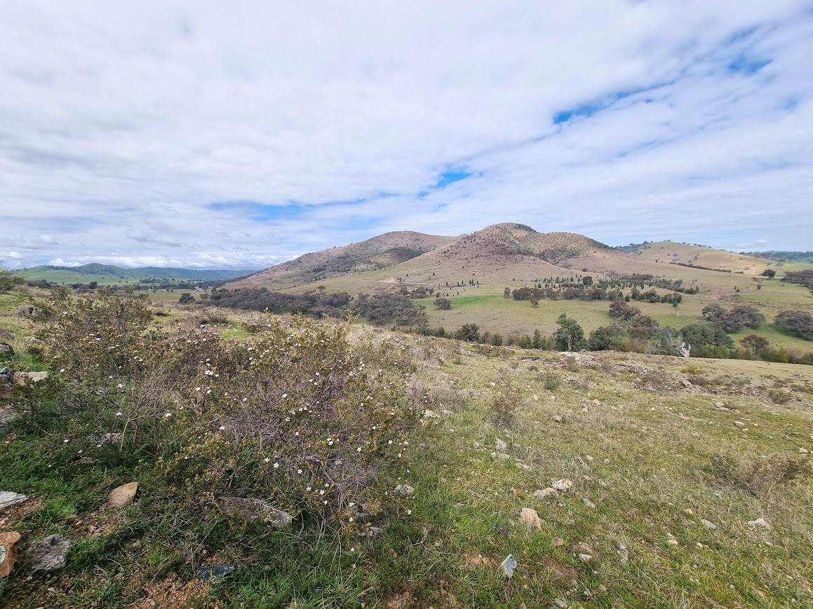364 Kangaroo Mount Road, Gundagai For Sale by Farmbuy.com - image 12