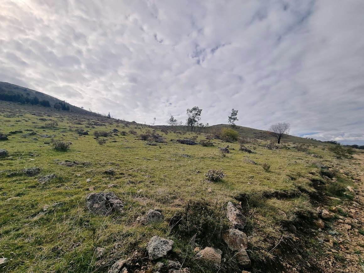 364 Kangaroo Mount Road, Gundagai For Sale by Farmbuy.com - image 13