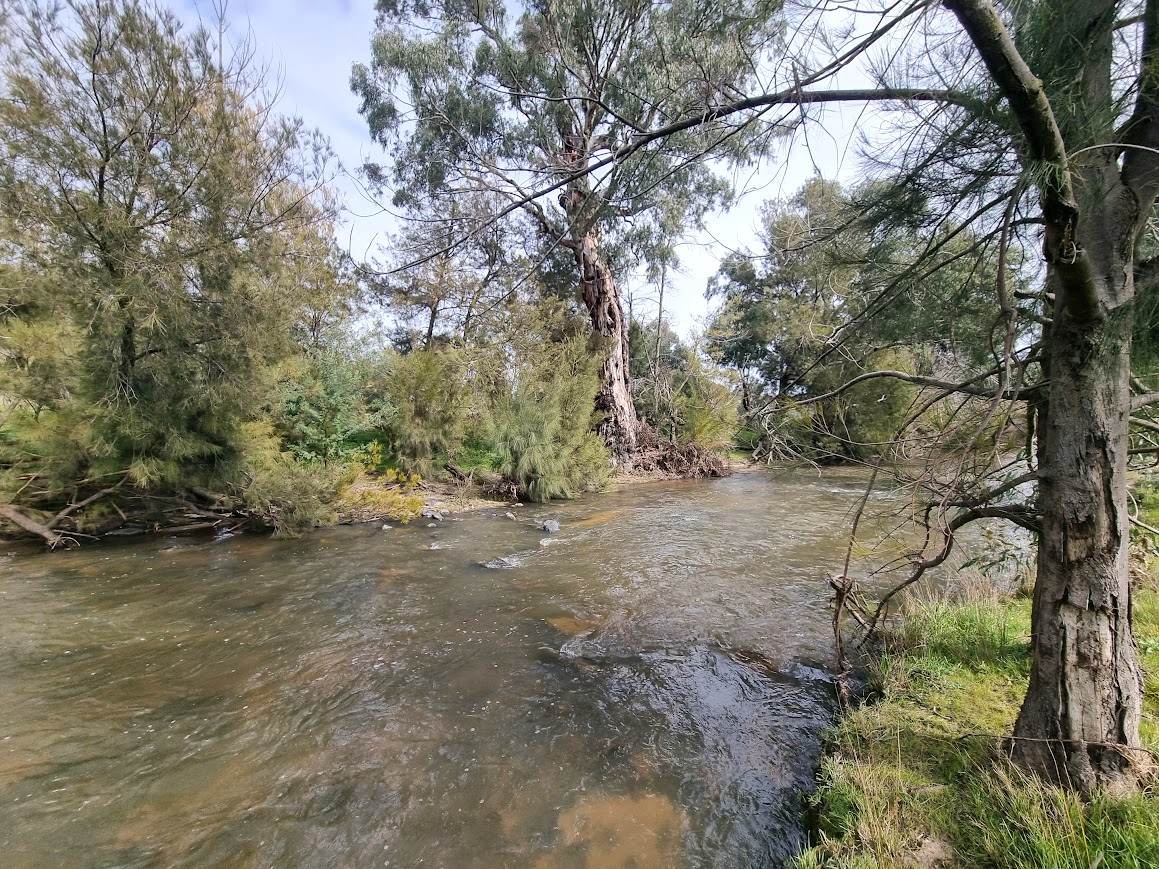 364 Kangaroo Mount Road, Gundagai For Sale by Farmbuy.com - image 4