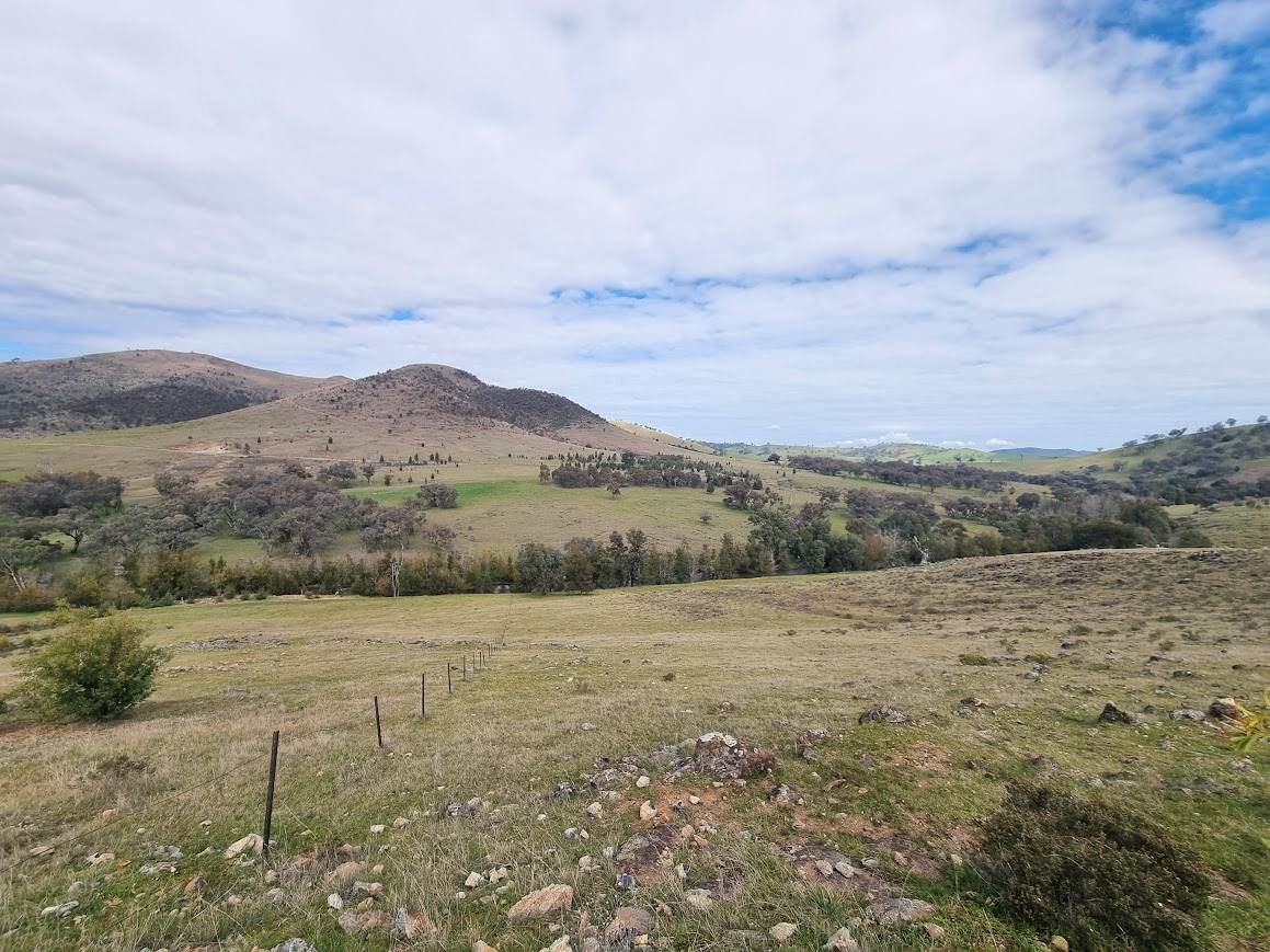 364 Kangaroo Mount Road, Gundagai For Sale by Farmbuy.com - image 15