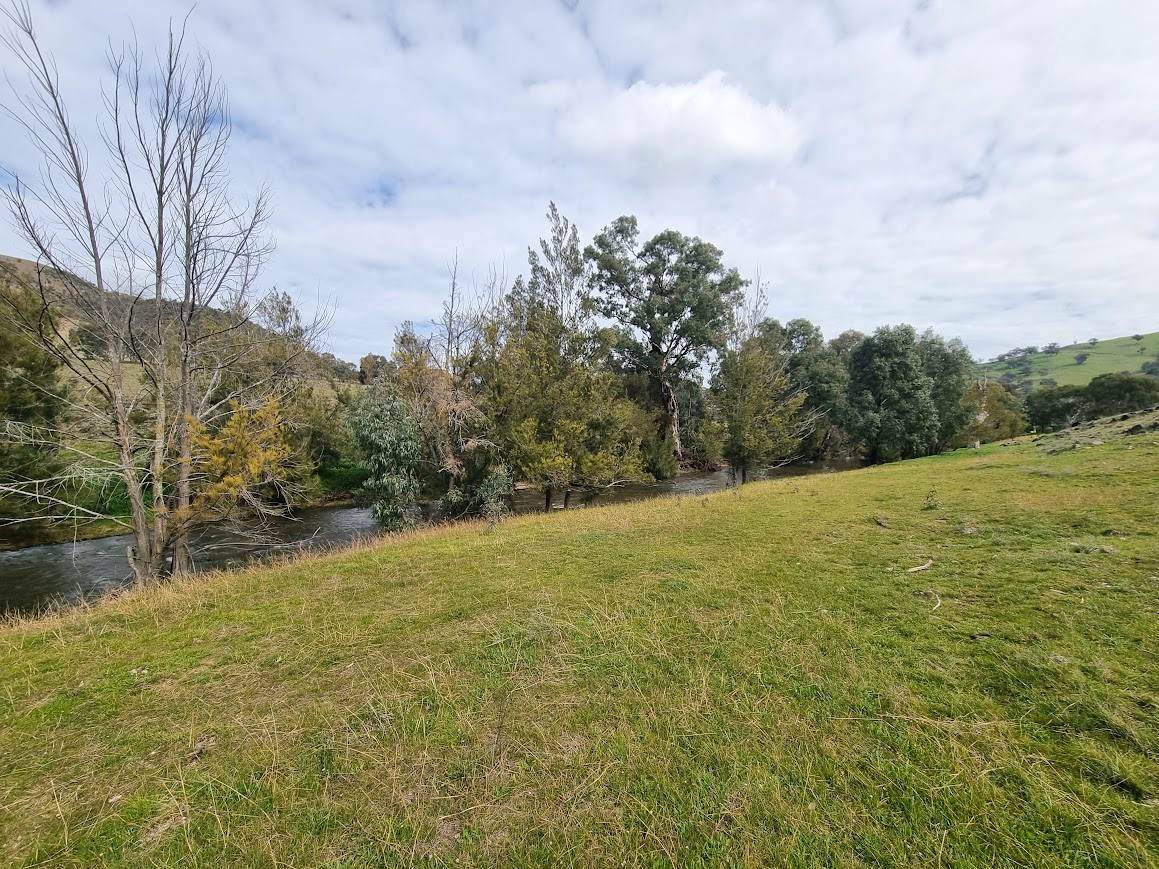 364 Kangaroo Mount Road, Gundagai For Sale by Farmbuy.com - image 8