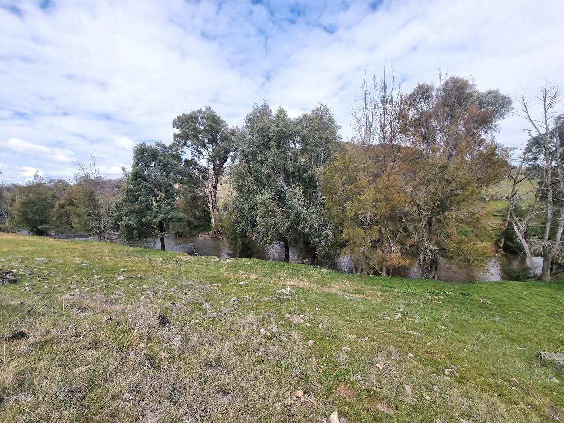 364 Kangaroo Mount Road, Gundagai For Sale by Farmbuy.com - image 10