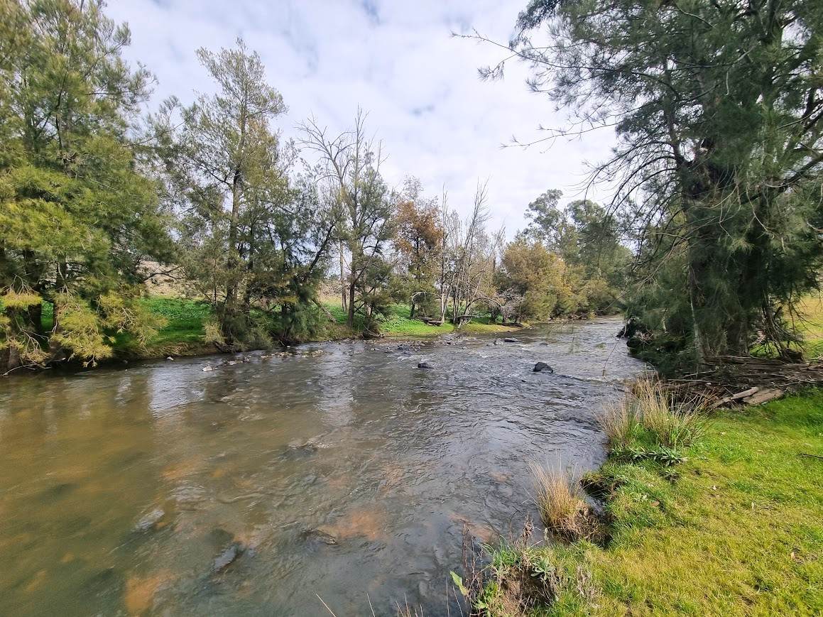 364 Kangaroo Mount Road, Gundagai For Sale by Farmbuy.com - image 3