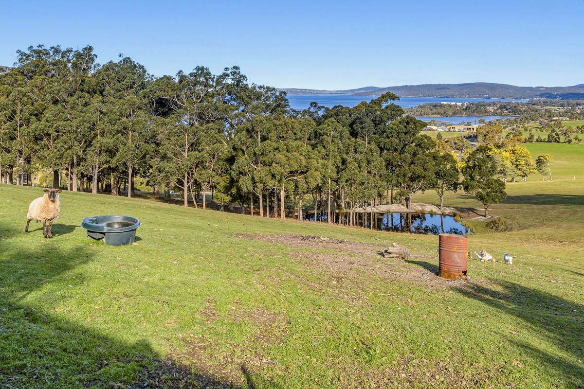 44 Jamiesons Road, Margate For Sale by Farmbuy.com - image 30