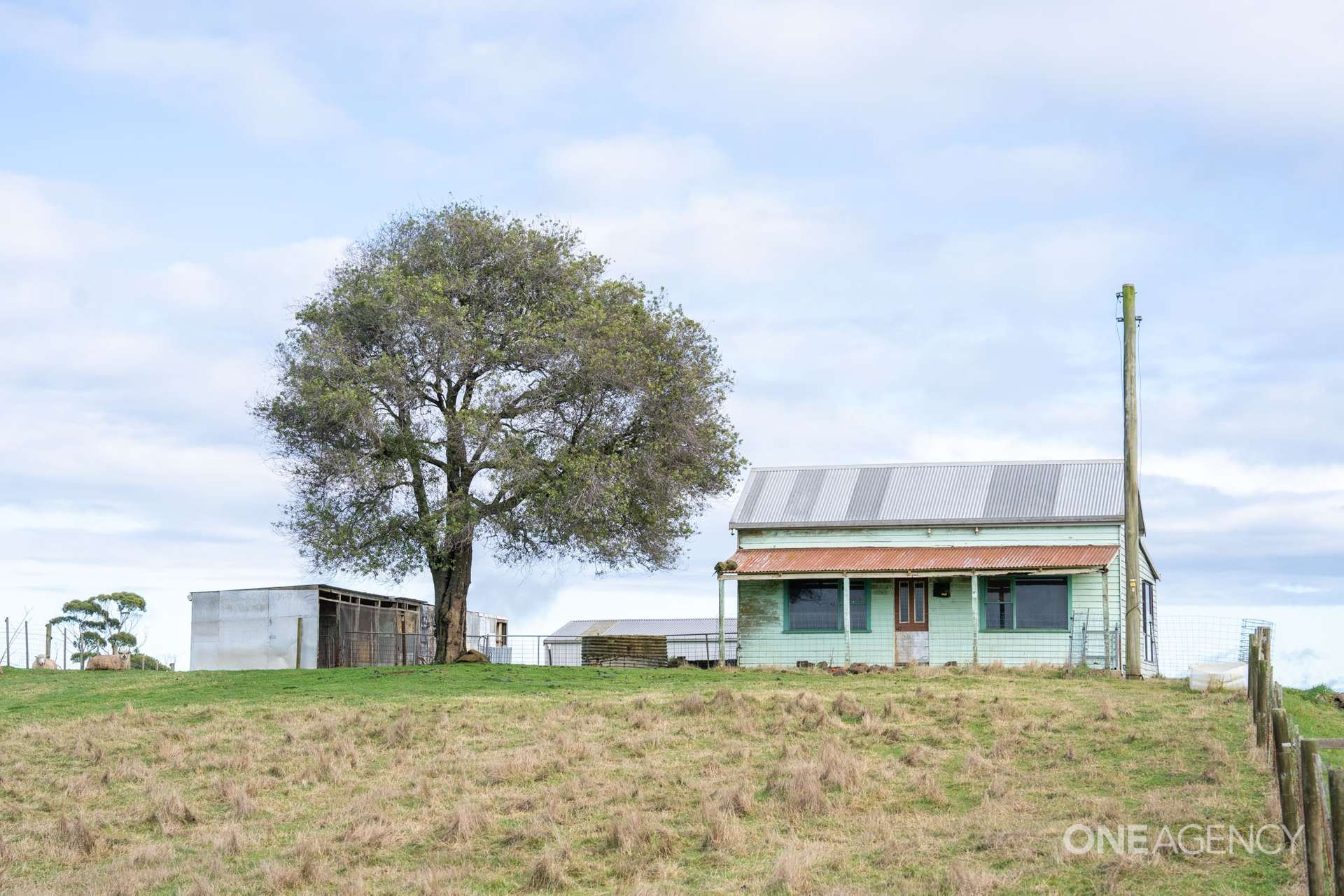 1258 Oldina Road, Oldina For Sale by Farmbuy.com - image 33