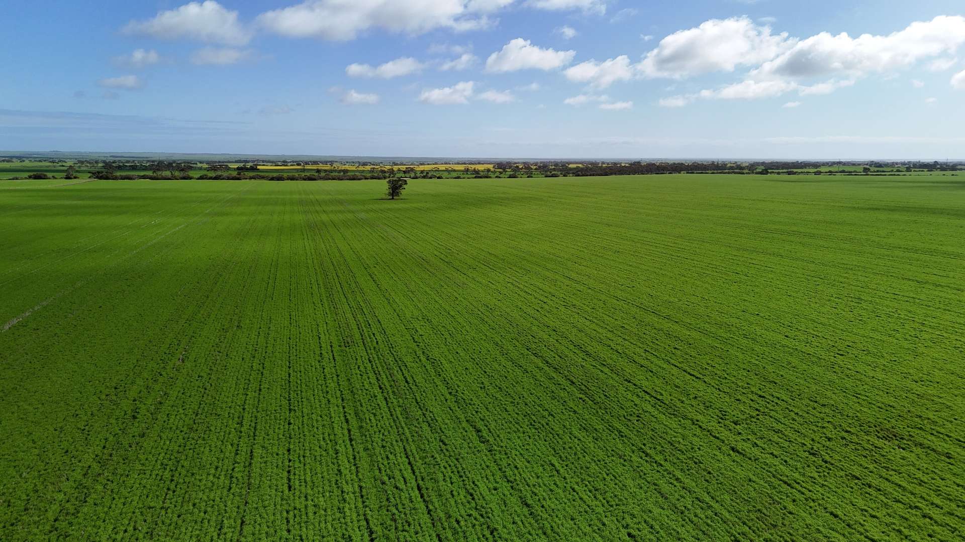 'Spackys' 12 Corella Road, Mundoora For Sale by Farmbuy.com - image 5